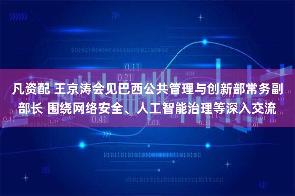 凡资配 王京涛会见巴西公共管理与创新部常务副部长 围绕网络安全、人工智能治理等深入交流