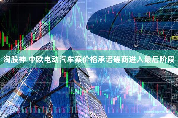 淘股神 中欧电动汽车案价格承诺磋商进入最后阶段
