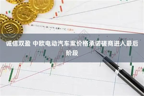 诚信双盈 中欧电动汽车案价格承诺磋商进入最后阶段