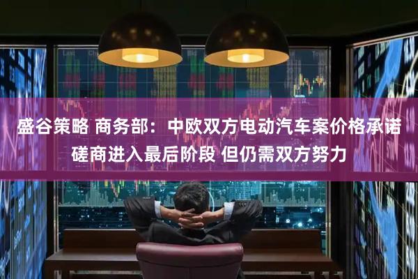 盛谷策略 商务部：中欧双方电动汽车案价格承诺磋商进入最后阶段 但仍需双方努力