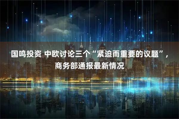 国鸣投资 中欧讨论三个“紧迫而重要的议题”，商务部通报最新情况