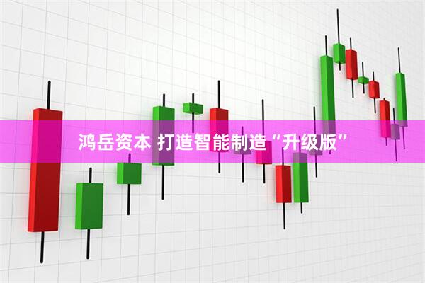 鸿岳资本 打造智能制造“升级版”