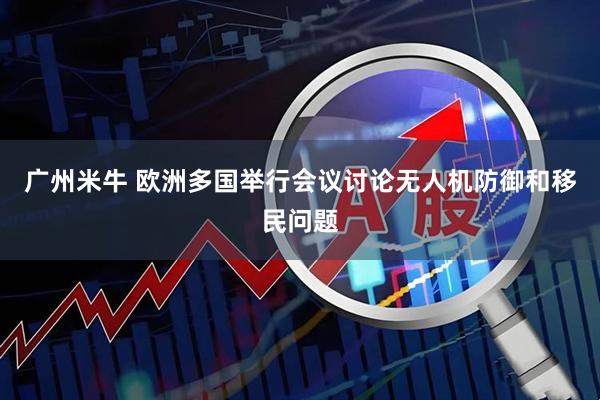 广州米牛 欧洲多国举行会议讨论无人机防御和移民问题