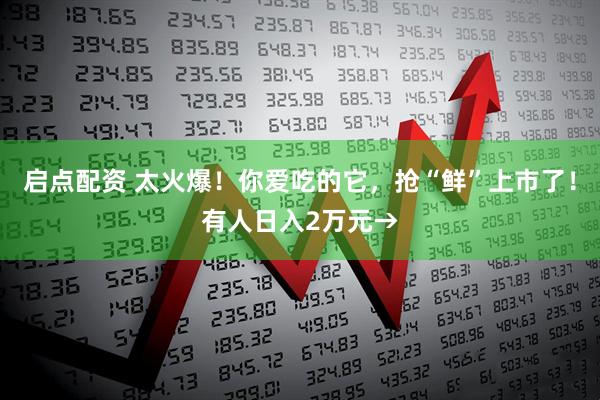 启点配资 太火爆！你爱吃的它，抢“鲜”上市了！有人日入2万元→
