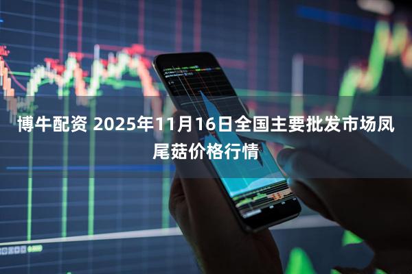 博牛配资 2025年11月16日全国主要批发市场凤尾菇价格行情