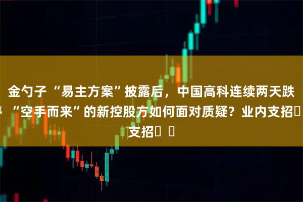 金勺子 “易主方案”披露后，中国高科连续两天跌停  “空手而来”的新控股方如何面对质疑？业内支招⋯⋯